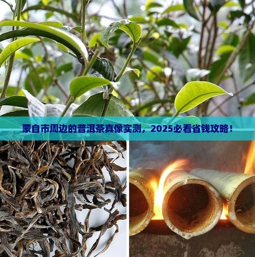 蒙自市附近的普洱茶