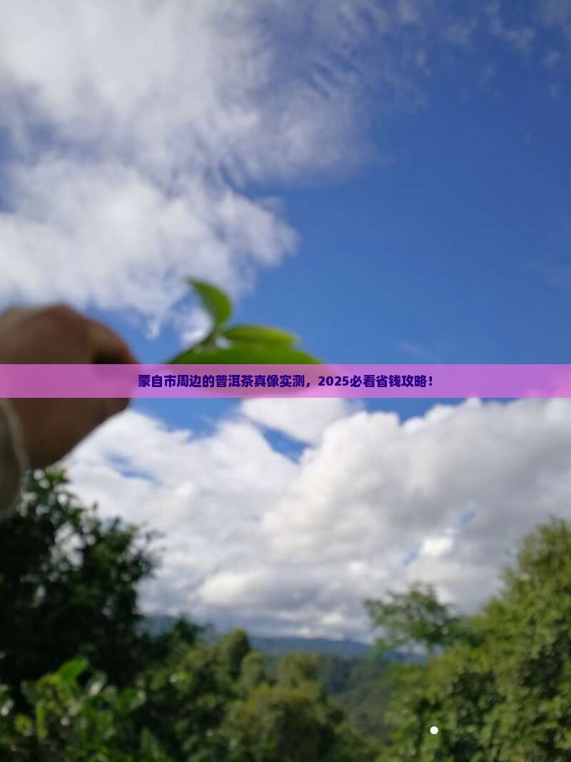 蒙自市附近的普洱茶