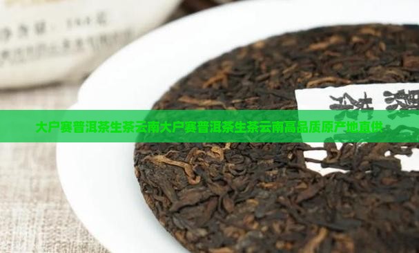 大户赛普洱茶生茶云南