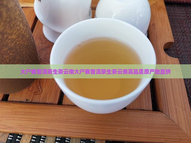 大户赛普洱茶生茶云南