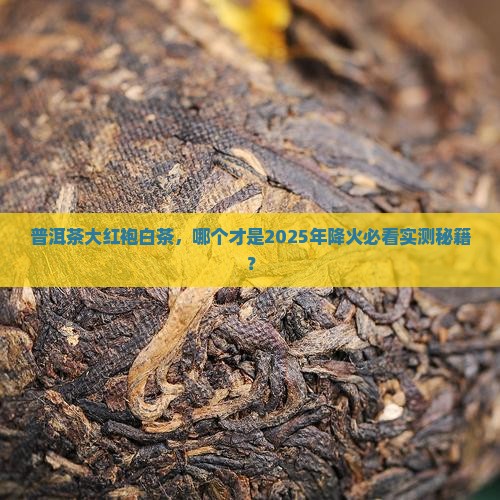 普洱茶大红袍白茶哪个降火