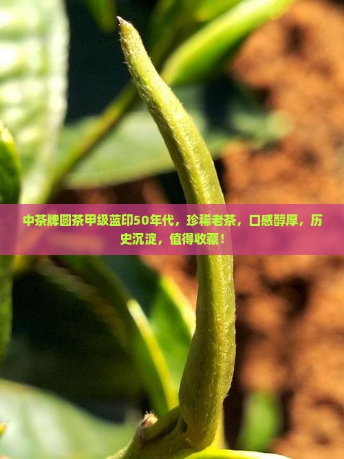 中茶牌圆茶甲级蓝印50年代
