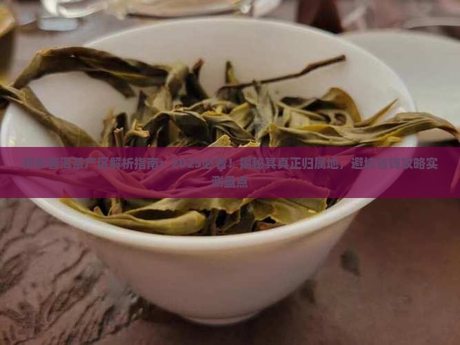 邦东普洱茶属于哪个产区