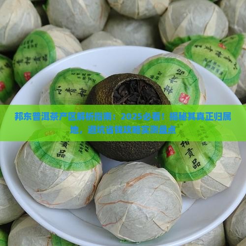 邦东普洱茶属于哪个产区