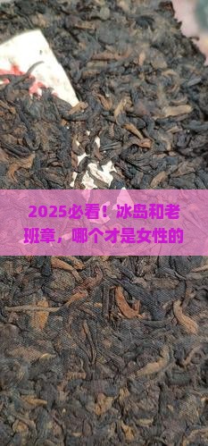 冰岛和老班章哪个适合女性