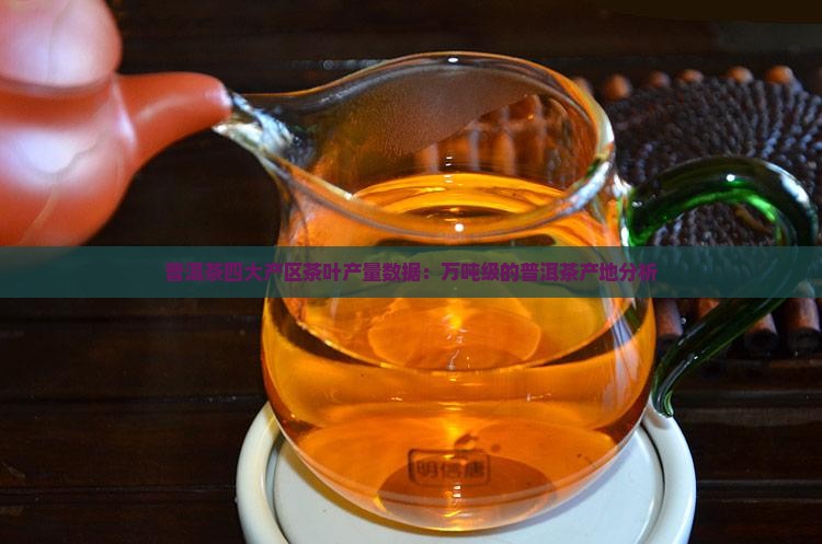 普洱茶产茶地区