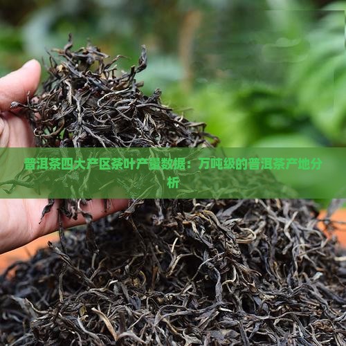 普洱茶产茶地区