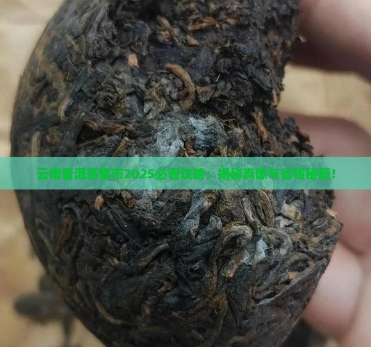 云南普洱茶集市