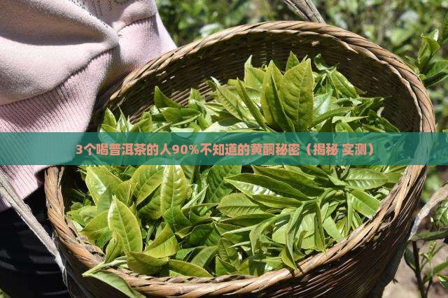 普洱茶黄酮含量