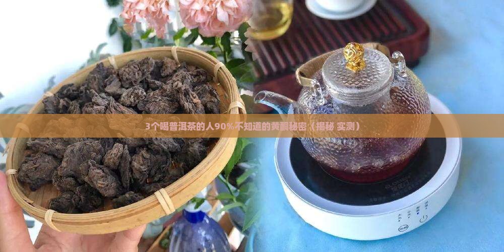 普洱茶黄酮含量