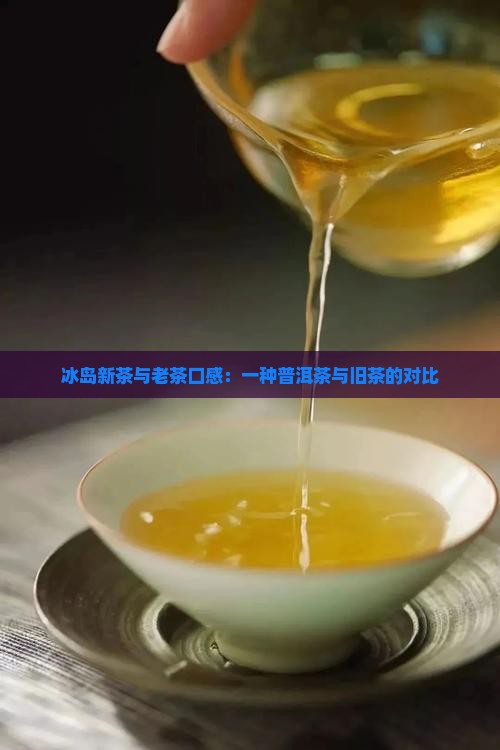冰岛茶是新茶旧茶口感