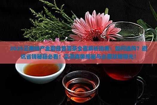 云南特产金御品普洱茶