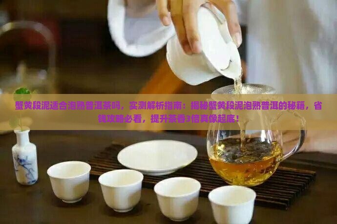 蟹黄段泥适合泡熟普洱茶吗