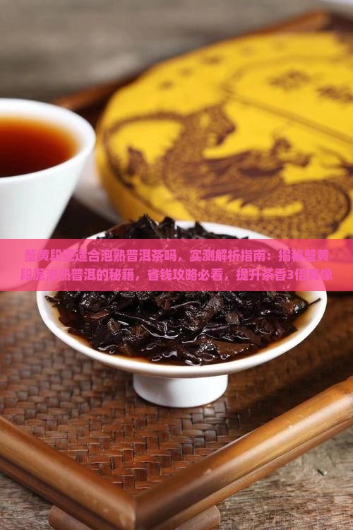 蟹黄段泥适合泡熟普洱茶吗