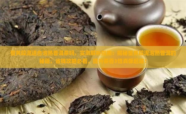 蟹黄段泥适合泡熟普洱茶吗