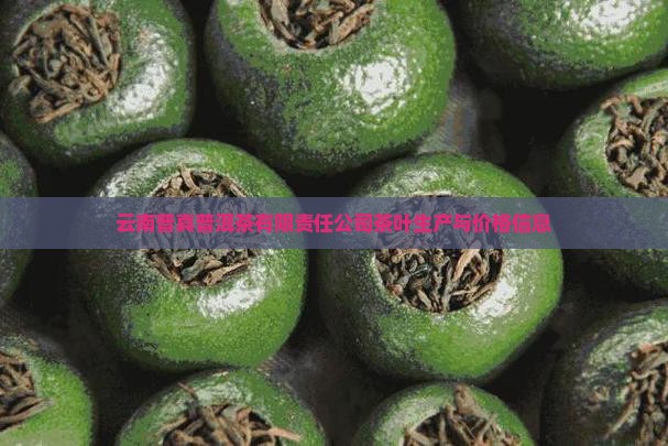云南普真普洱茶