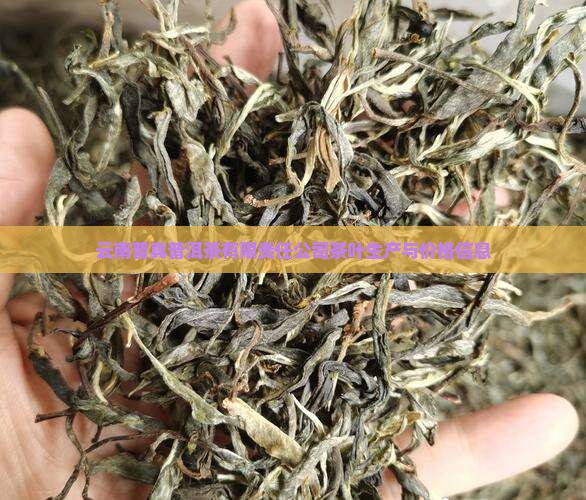 云南普真普洱茶