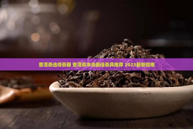 普洱茶选择茶器