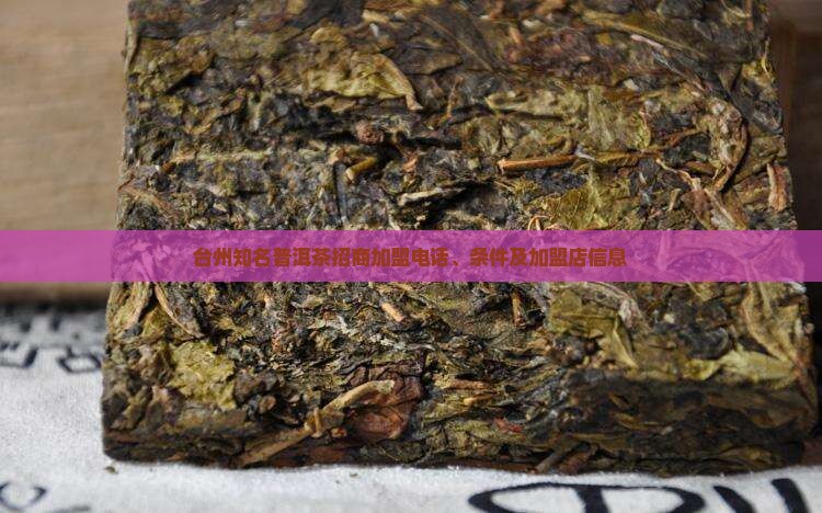 台州知名普洱茶招商加盟