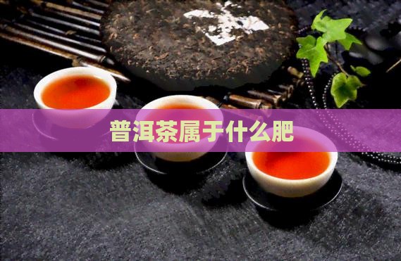 普洱茶属于什么肥