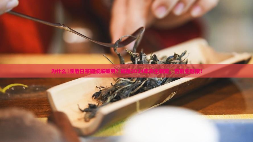 磻溪老白茶功效