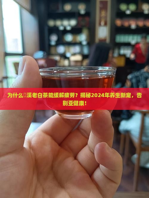 磻溪老白茶功效