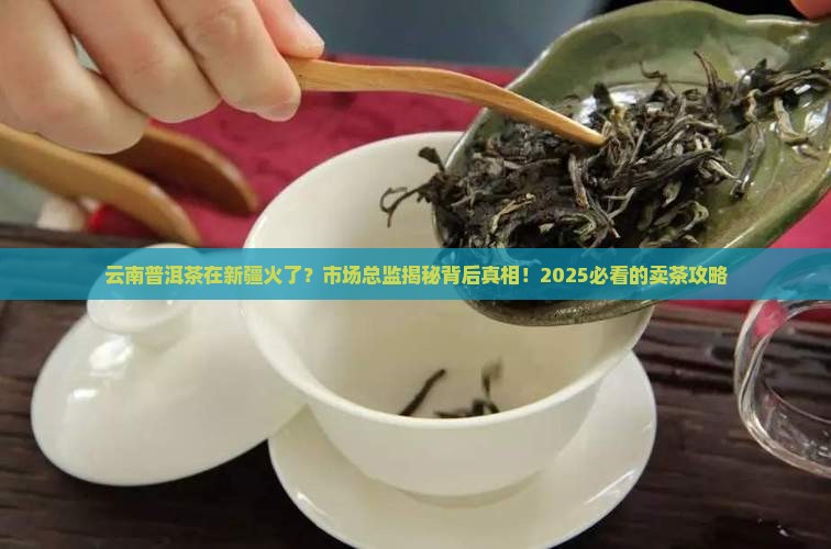 云南普洱茶新疆市场总监