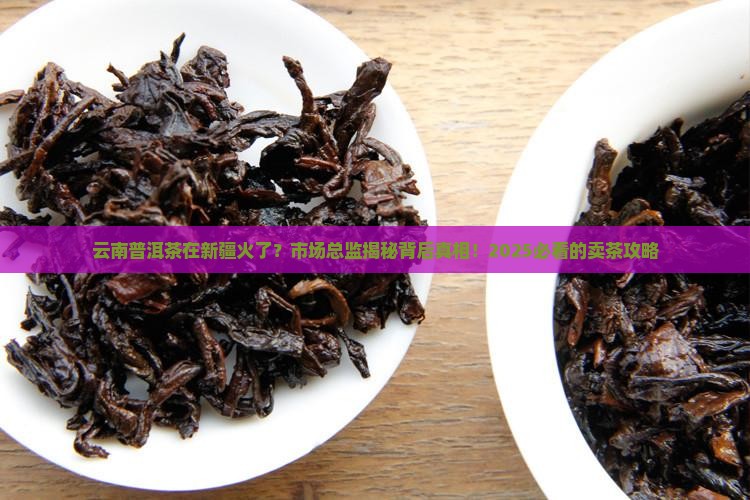 云南普洱茶新疆市场总监