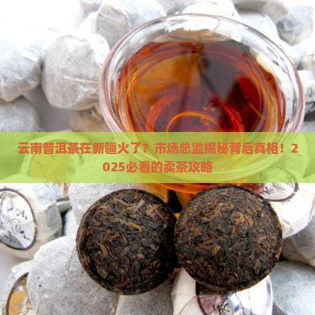 云南普洱茶新疆市场总监