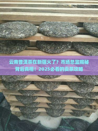 云南普洱茶新疆市场总监
