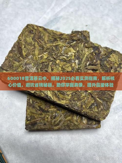 600018普洱茶云中