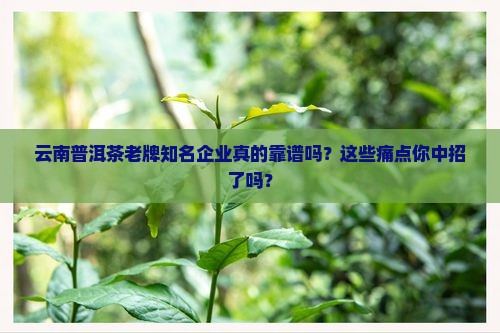 云南普洱茶老牌知名企业