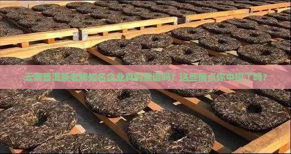 云南普洱茶老牌知名企业