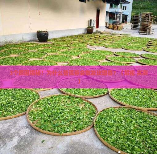 普洱茶为什么会有玫瑰香气