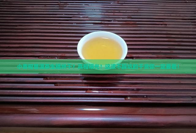 小青柑普洱茶生晒烘干