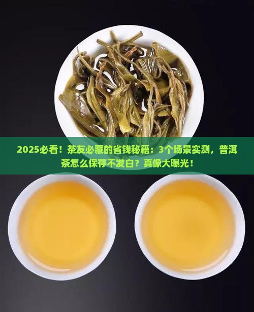 普洱茶怎么保存不发白