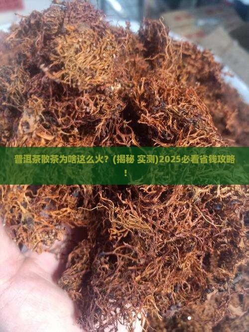 普洱茶散茶原因