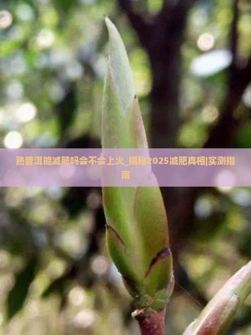 熟普洱能减肥吗会不会上火