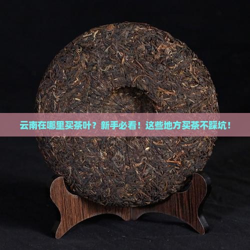 云南在哪里买茶叶
