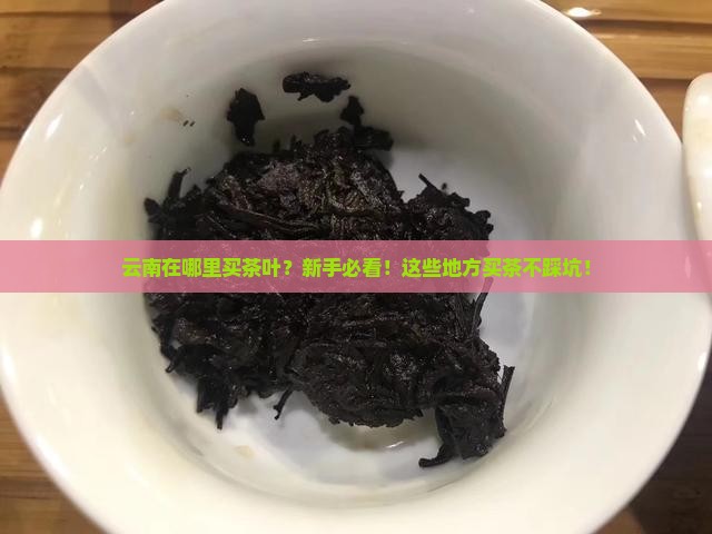 云南在哪里买茶叶