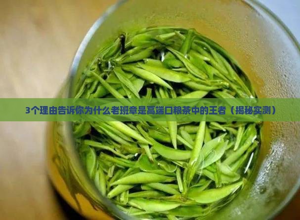 高端口粮茶老班章