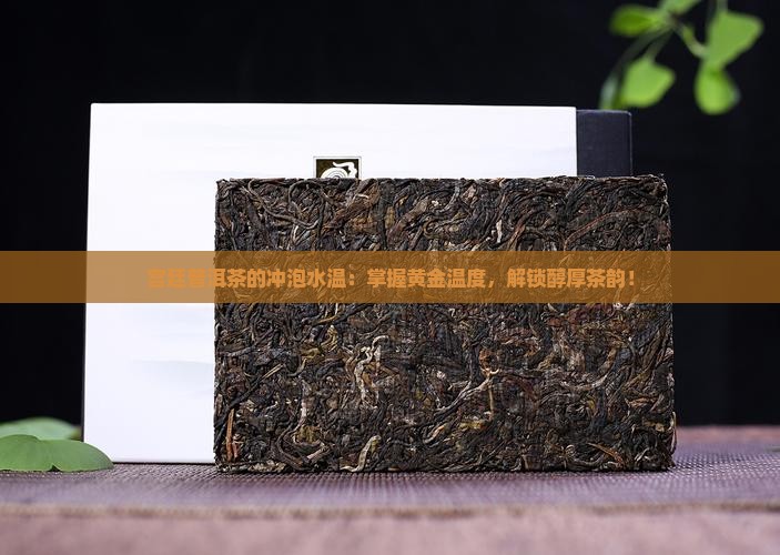 宫廷普洱茶的冲泡水温
