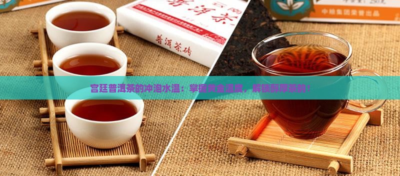 宫廷普洱茶的冲泡水温