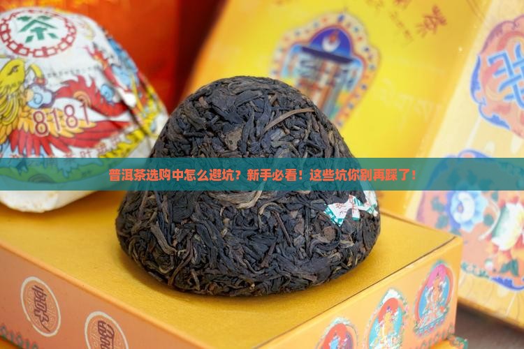普洱茶选购中怎么避坑