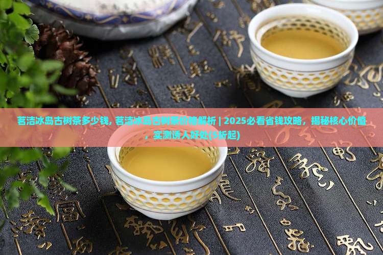 茗洁冰岛古树茶多少钱