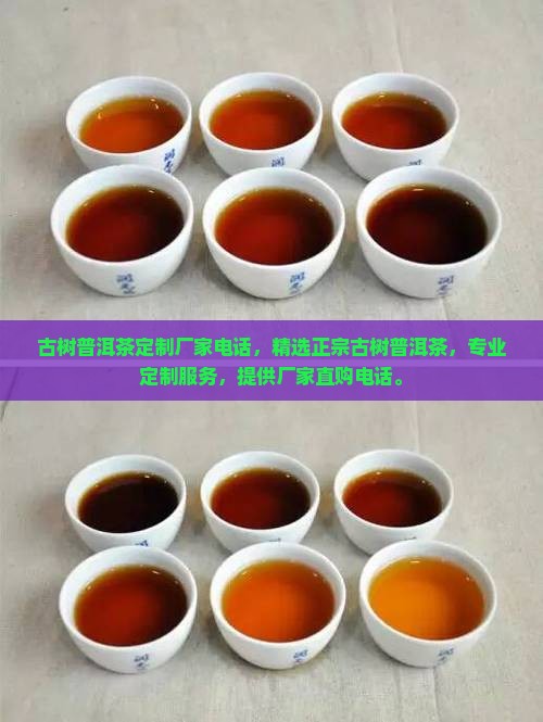 古树普洱茶定制厂家电话