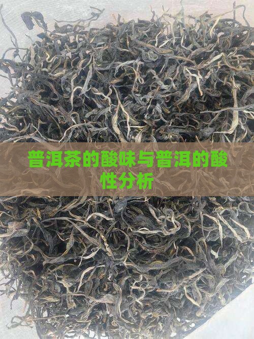 熟普洱茶的酸性大
