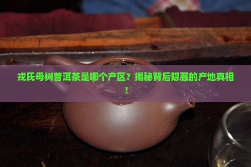 戎氏母树普洱茶是哪个产区