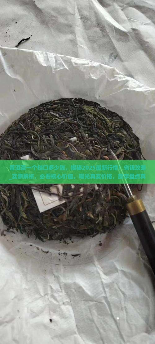 普洱茶一个档口多少钱