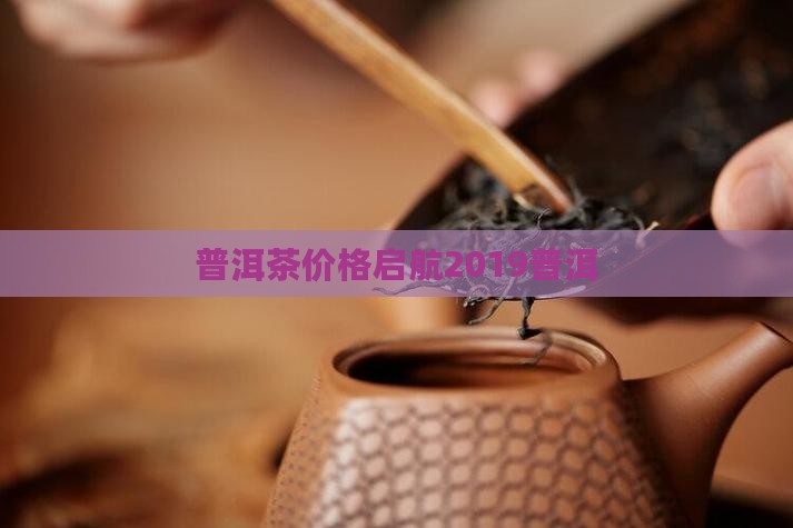 启航2019普洱茶价格